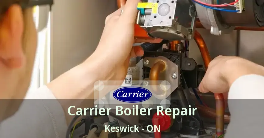 Carrier Boiler Repair Keswick - ON