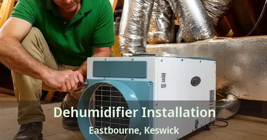 Dehumidifier Installation Eastbourne, Keswick - ON
