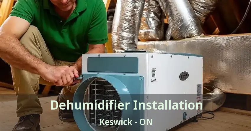 Dehumidifier Installation Keswick - ON