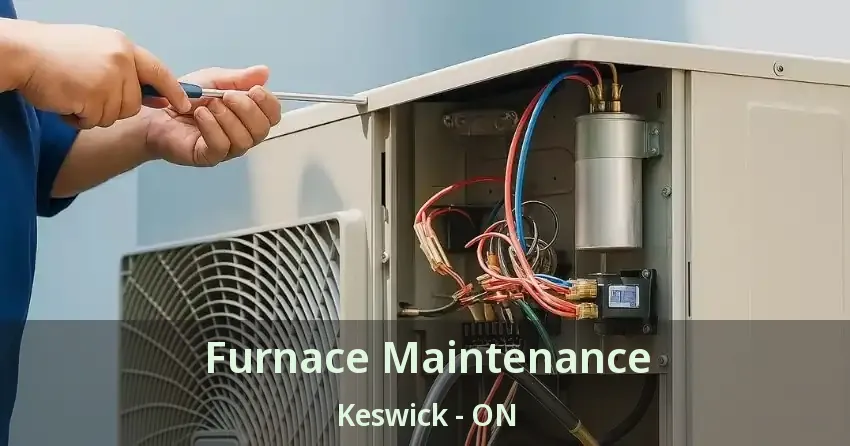 Furnace Maintenance Keswick - ON