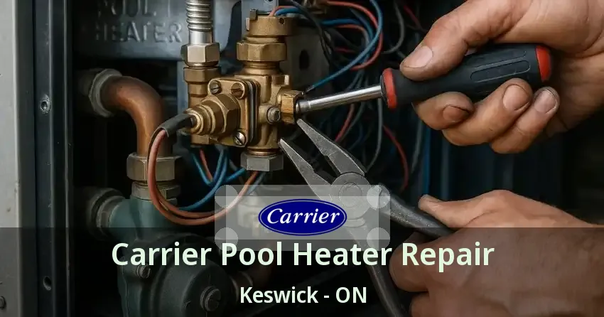 Carrier Pool Heater Repair Keswick - ON